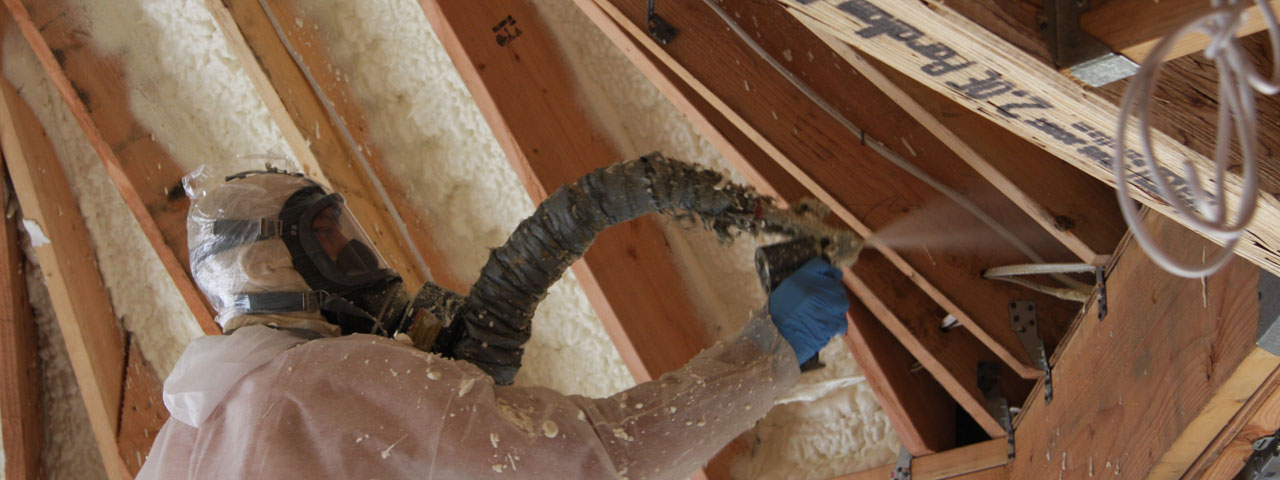 Bellevue Washington Attic Insulation Spray Foam